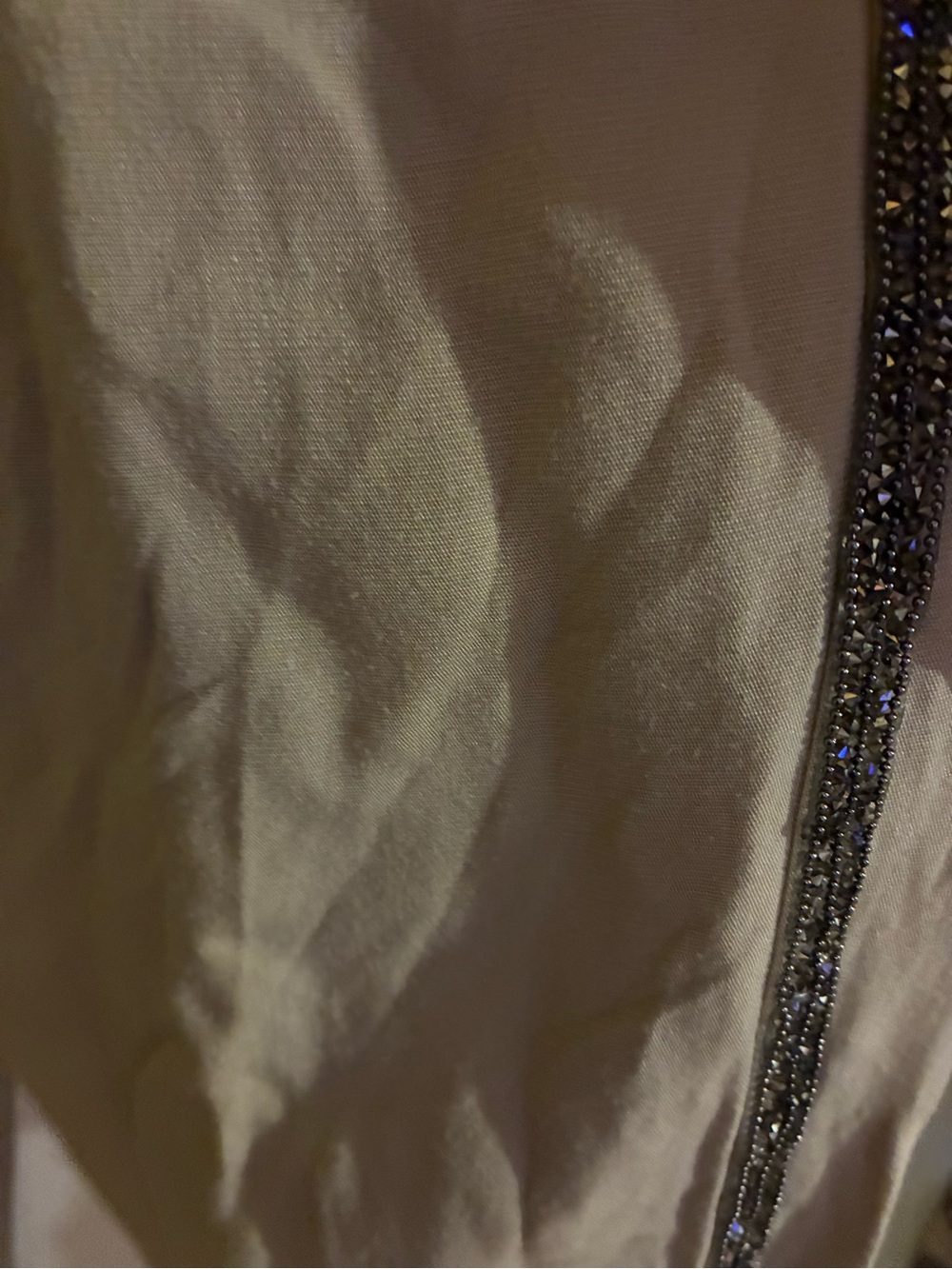 Zara medium sequins pants